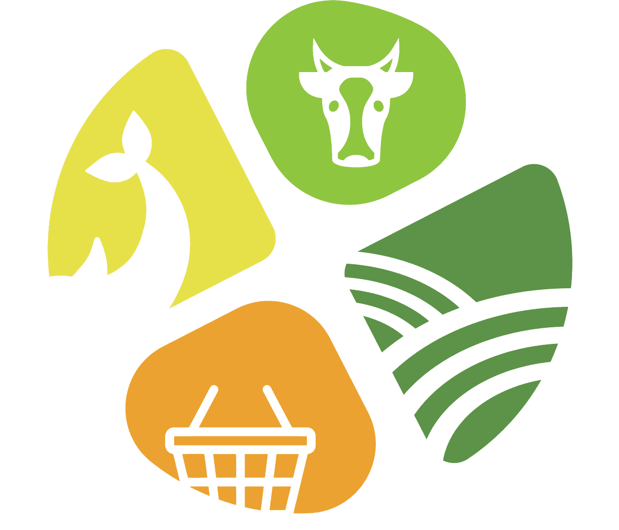 Salamis farms logo